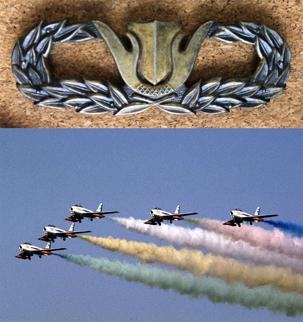 上級指導官の格闘徽章