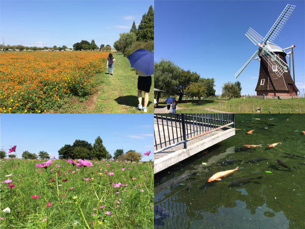 あけぼの山農業公園