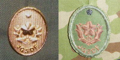 �Ő�C�㋉�������ʏ�